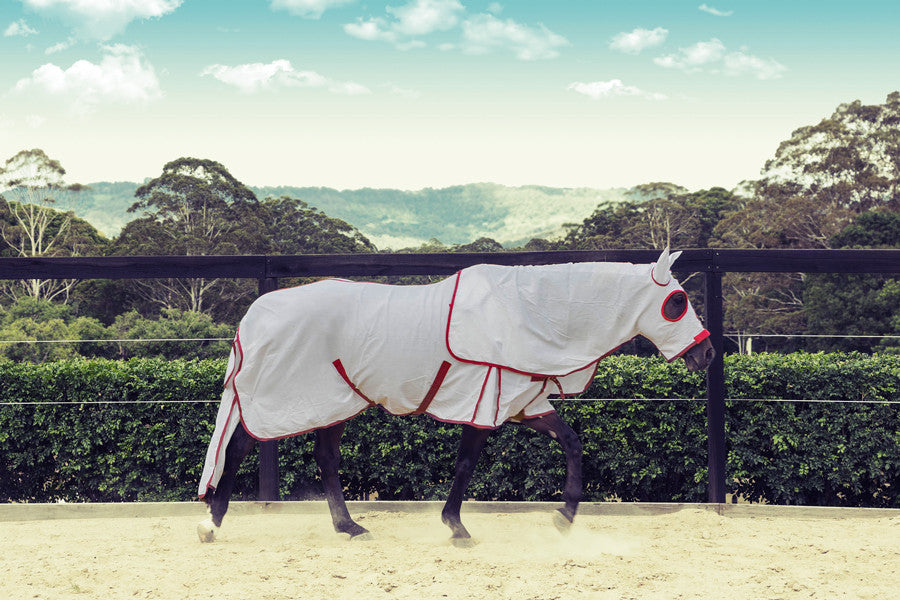 Equestrian Horse Product. Flag Rug Hood Set. White