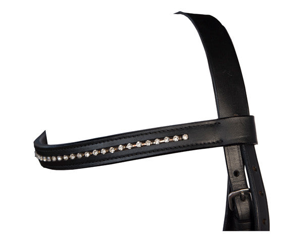 Equestrian Horse Product. Leather Bridle