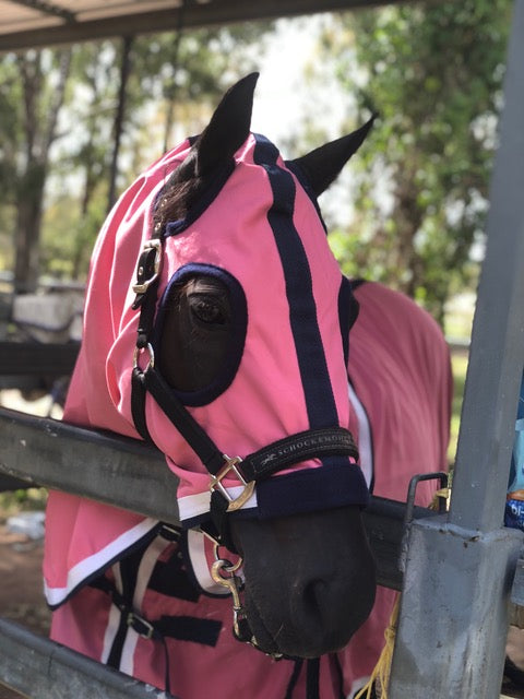 LP Deluxe Show Rug and Hood Set