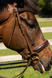 LP Competition Leather Bridle