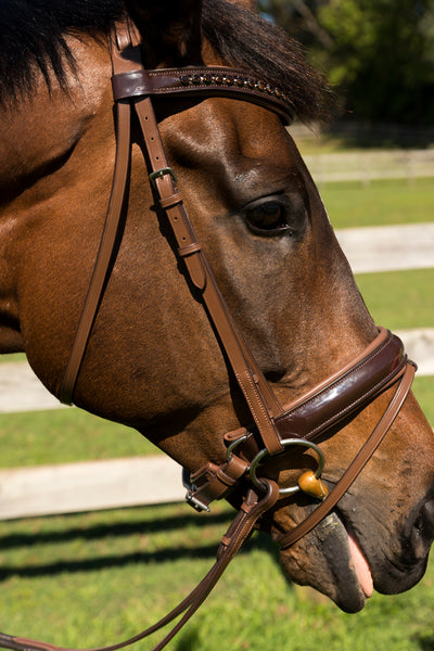 LP Competition Leather Bridle