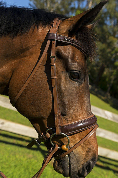 LP Competition Leather Bridle
