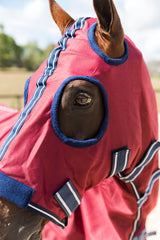 LP Deluxe Show Rug and Hood Set