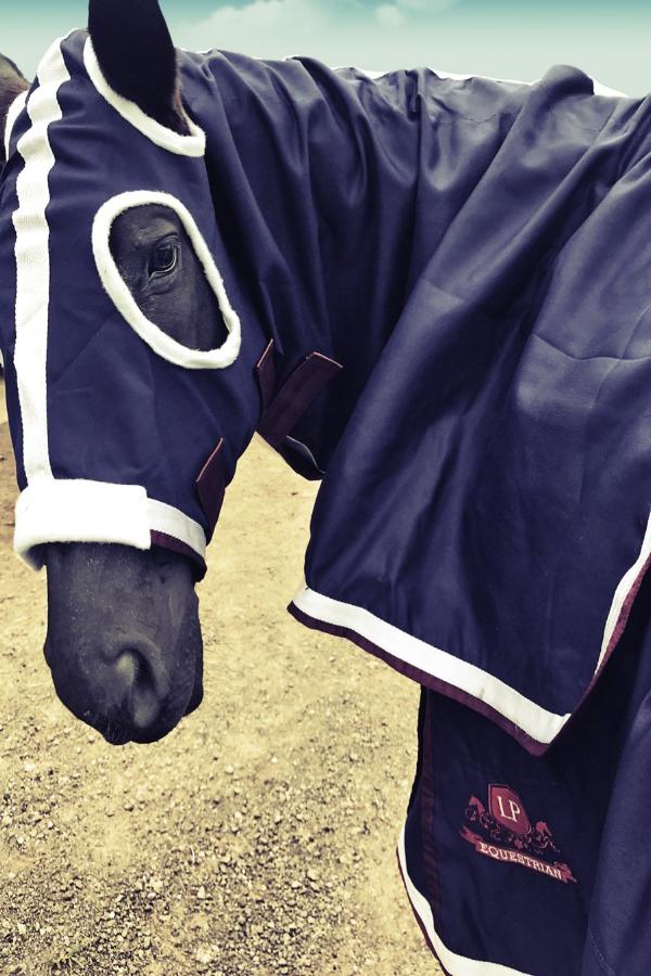 Equestrian Horse Product. Deluxe Show Rug and Hood Set
