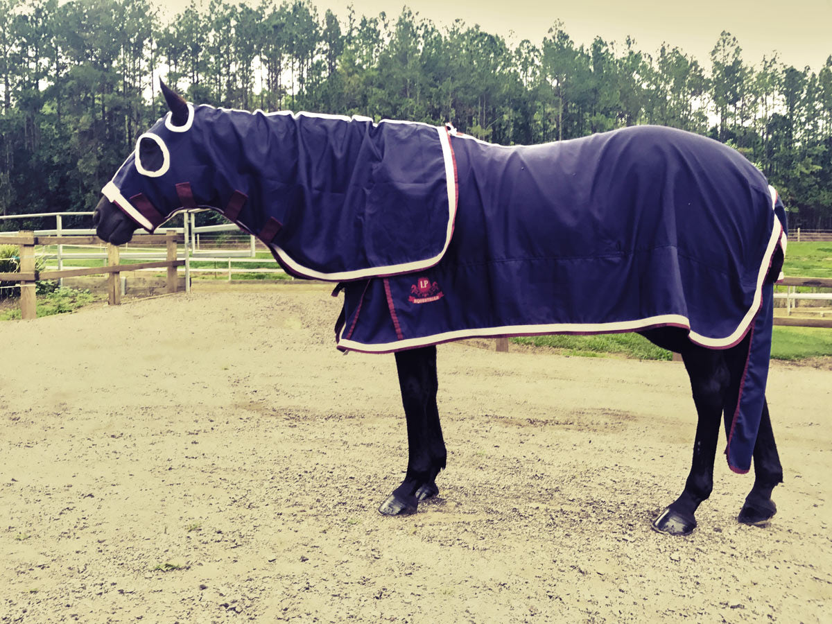 Equestrian Horse Product. Deluxe Show Rug and Hood Set