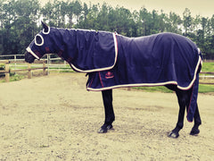 Equestrian Horse Product. Deluxe Show Rug and Hood Set