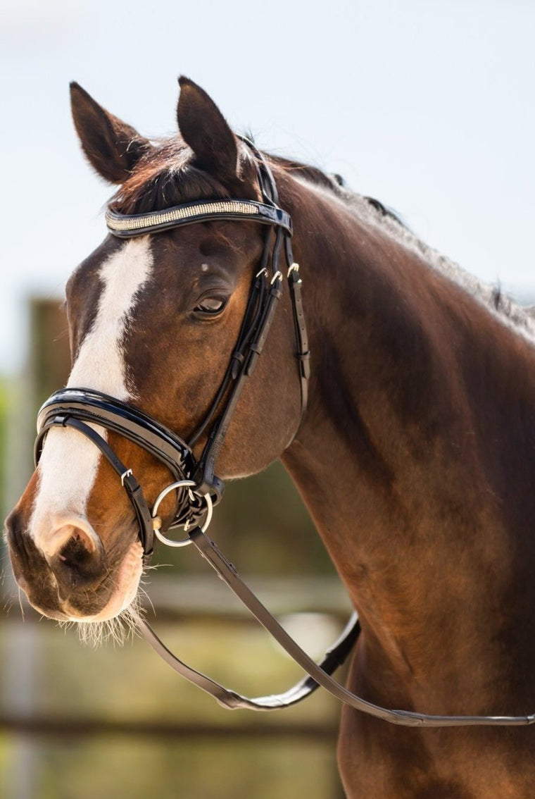 LP Competition Leather Bridle