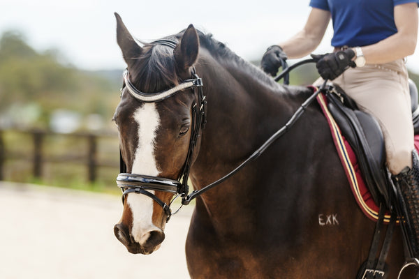 LP Competition Leather Bridle