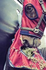 Equestrian Horse Product. Red Hay Bag