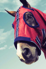 Equestrian Horse Product. Deluxe Show Hood and Rug