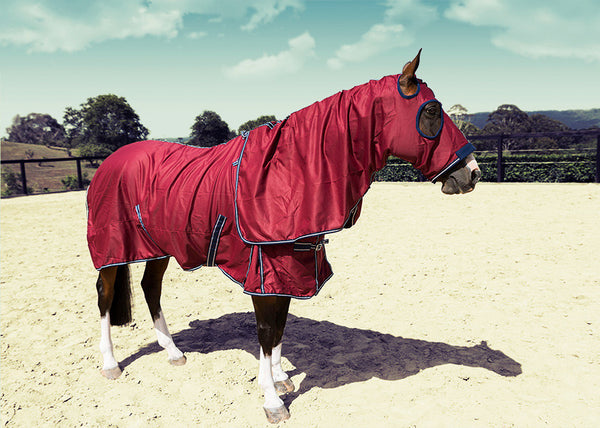 Equestrian Horse Product. Deluxe Show Rug and Hood Set